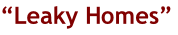 “Leaky Homes”